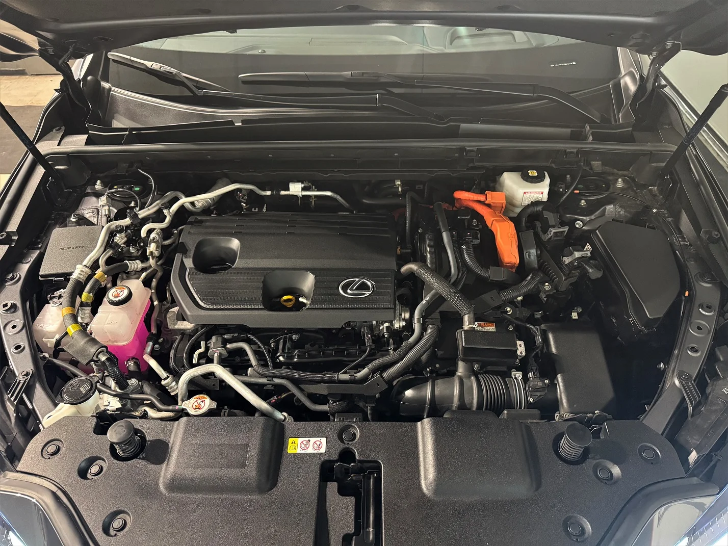 Lexus NX450H+ - Photo 12